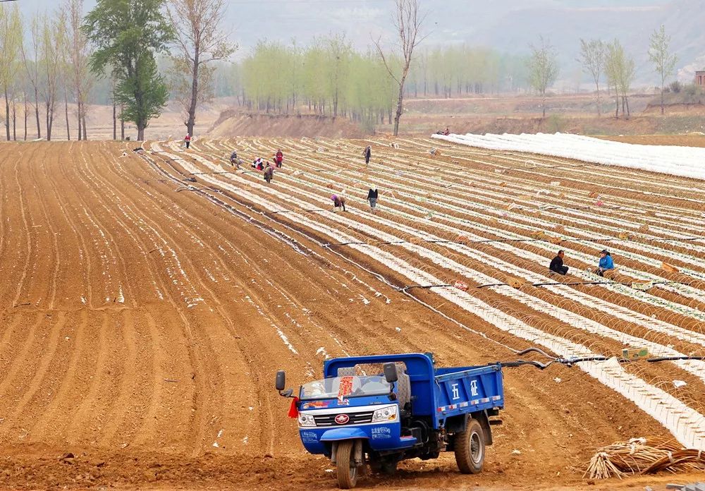 北国春生①咱辽宁的春耕来得虽晚但一样美