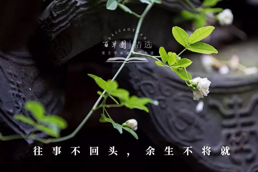 夜读往事不回头余生不将就