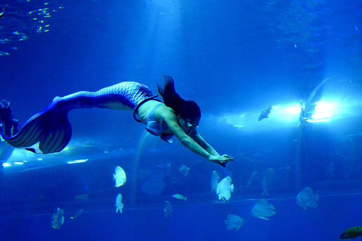 这小哥拍到的是美人鱼