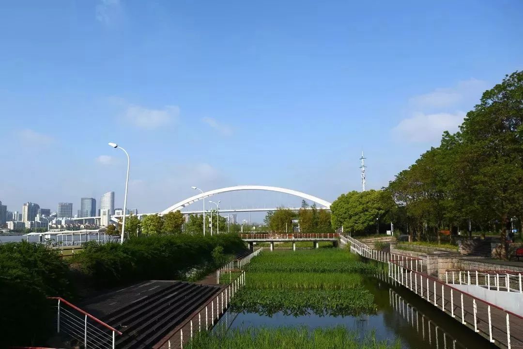 世博滨江公园图片
