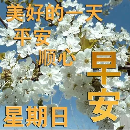 早安問候語圖片加文字0505早上好祝福語表情動圖