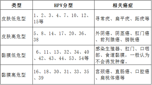 二價四價和九價hpv疫苗有什麼區別