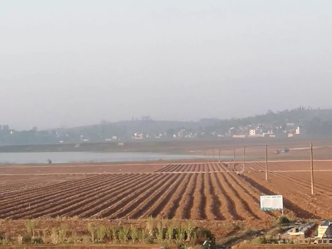 【脱贫攻坚】庄寨村提高烤烟科技种管含量巩固脱贫攻坚成果