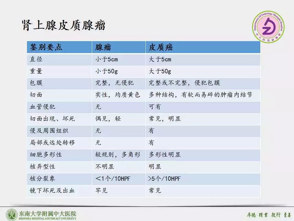 肾上腺皮质癌adrenalcorticalcarcinomaacc病例东南大学附属中大医院