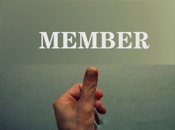 原创如何针对会员做营销?