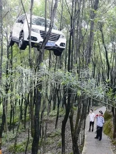 离奇车祸!昭通彝良一小车飞下公路,落到村民家洋沟里