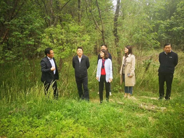 党务政务二七区委常委区委办主任袁斌到樱桃沟景区调研文化产业项目