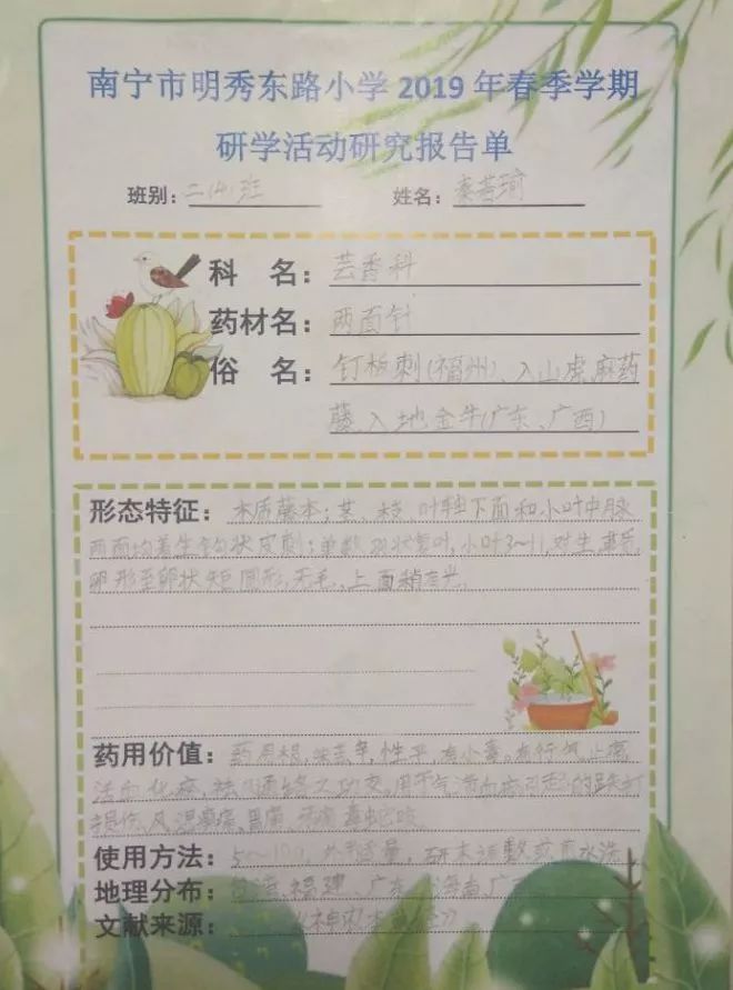 小学生研学手册模板doc图片