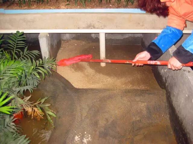 6个步骤助你轻松解决黄缘养殖池水浸问题图文并茂