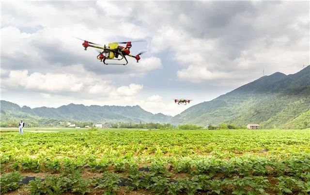 科技扶贫丨丰都首次大面积使用植保无人机开展统防统治工作!