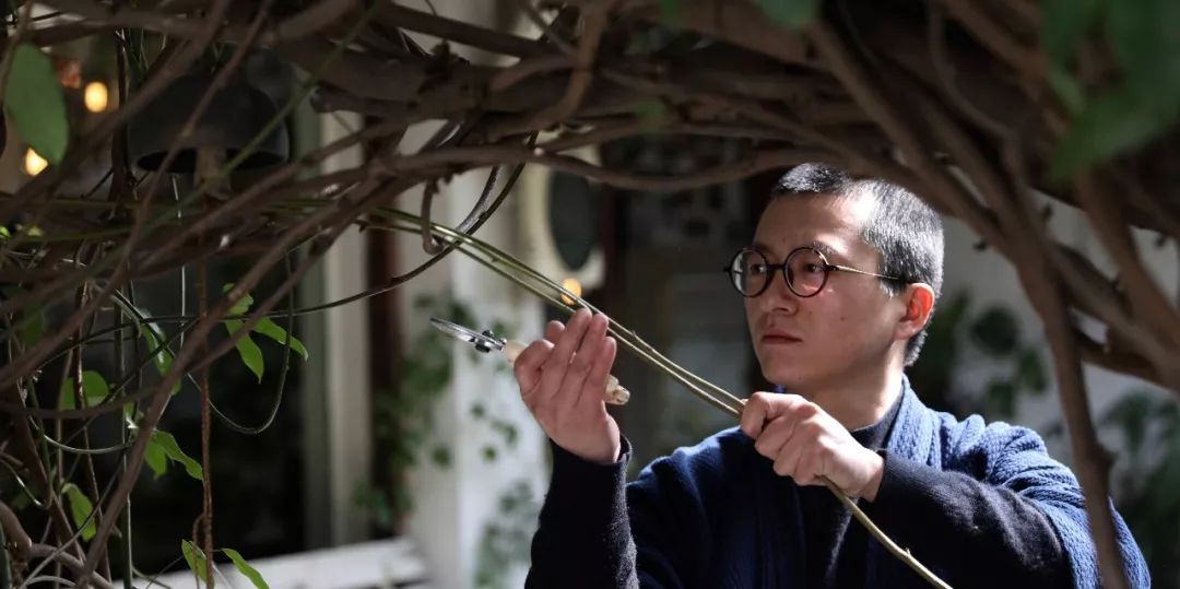 cc演讲潘锐苔藓的生存智慧