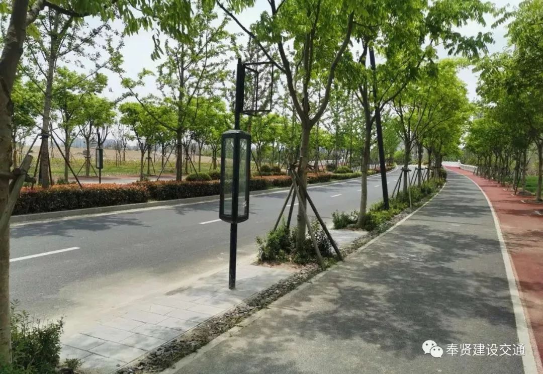 提醒丨望园路中央公园段已封路,周边出行交通这样走