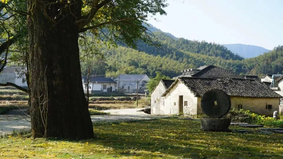 奇峰村史馆图片