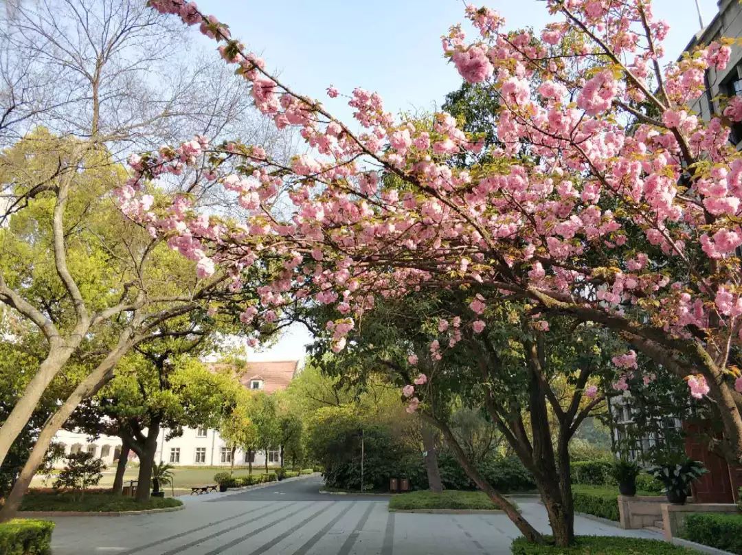 借來春風繪校園——市三女中