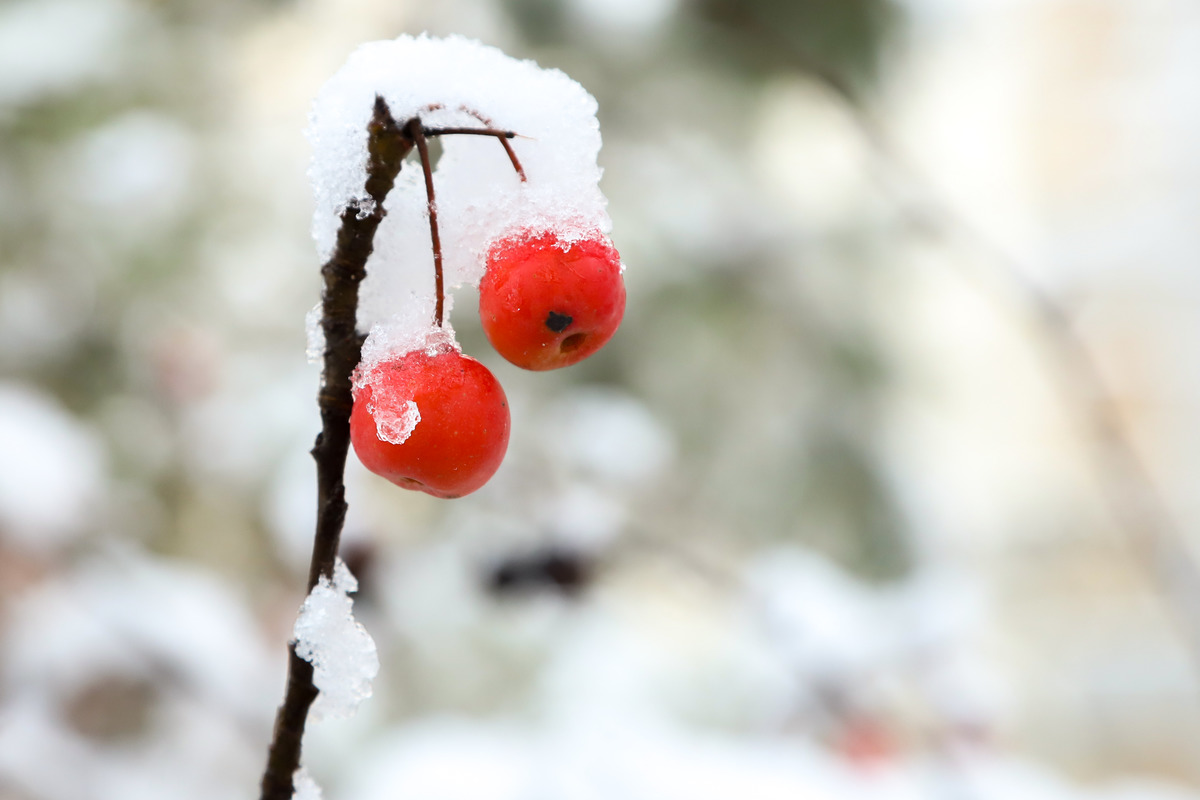 图虫人文摄影:冬雪暖阳