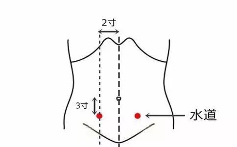 34,胃腸炎穴——天樞下巨虛:在小腿前外側,當犢鼻下9寸,距脛骨前緣一