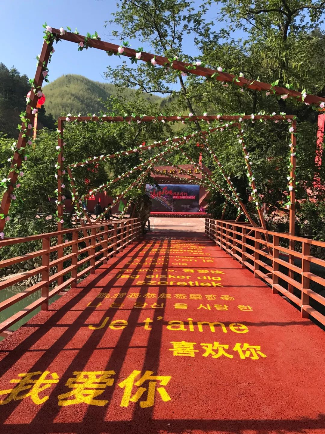 磐安这些山头被染红准备出发