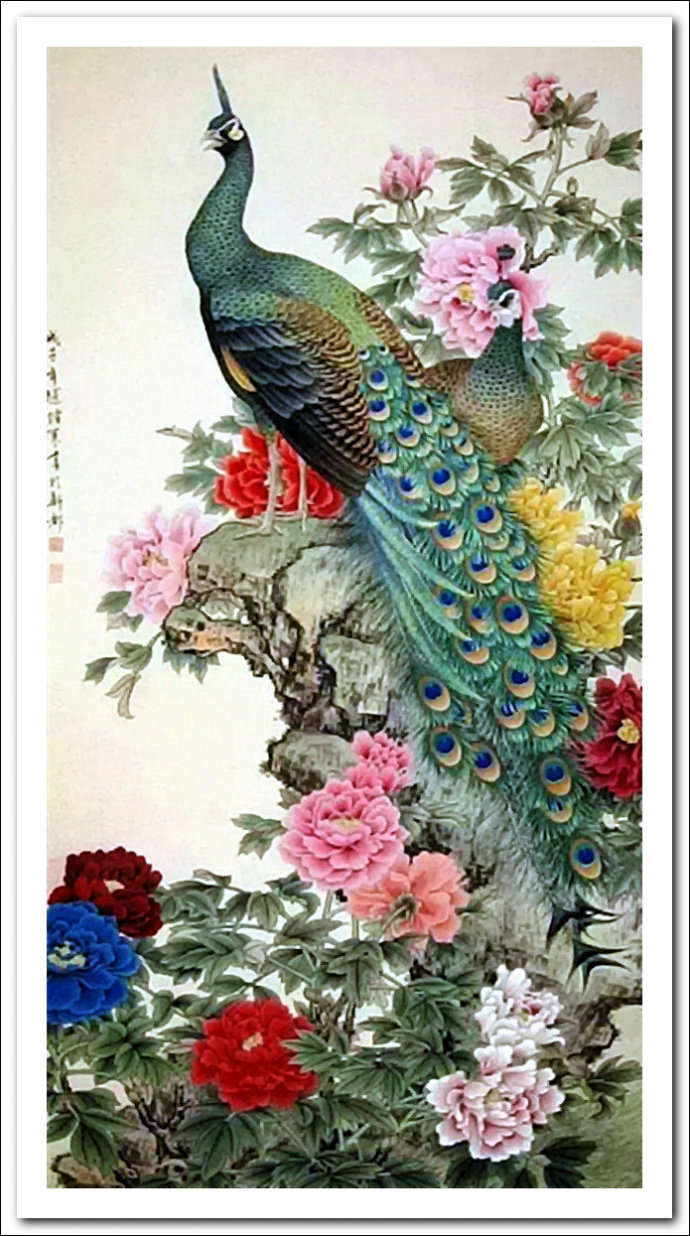富贵呈祥的孔雀牡丹图图片