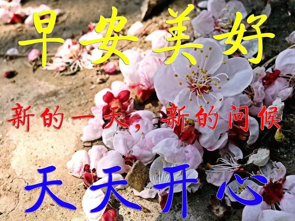 最妙的早安祝福語動態表情圖片清晨早上好暖人心的動態祝福圖片