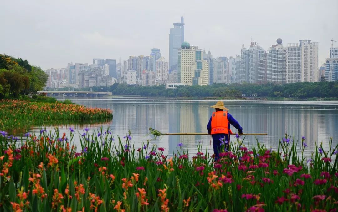 发现你身边的最美环保志愿者生态环保主题摄影作品展六