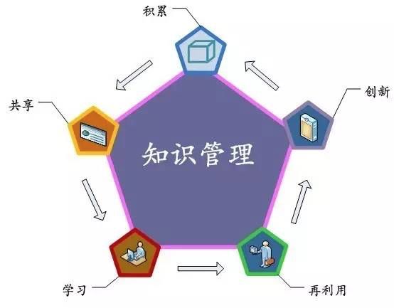 知识分享社区：智慧海洋中的灯塔