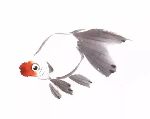 国画技法三种写意金鱼简单画法步骤