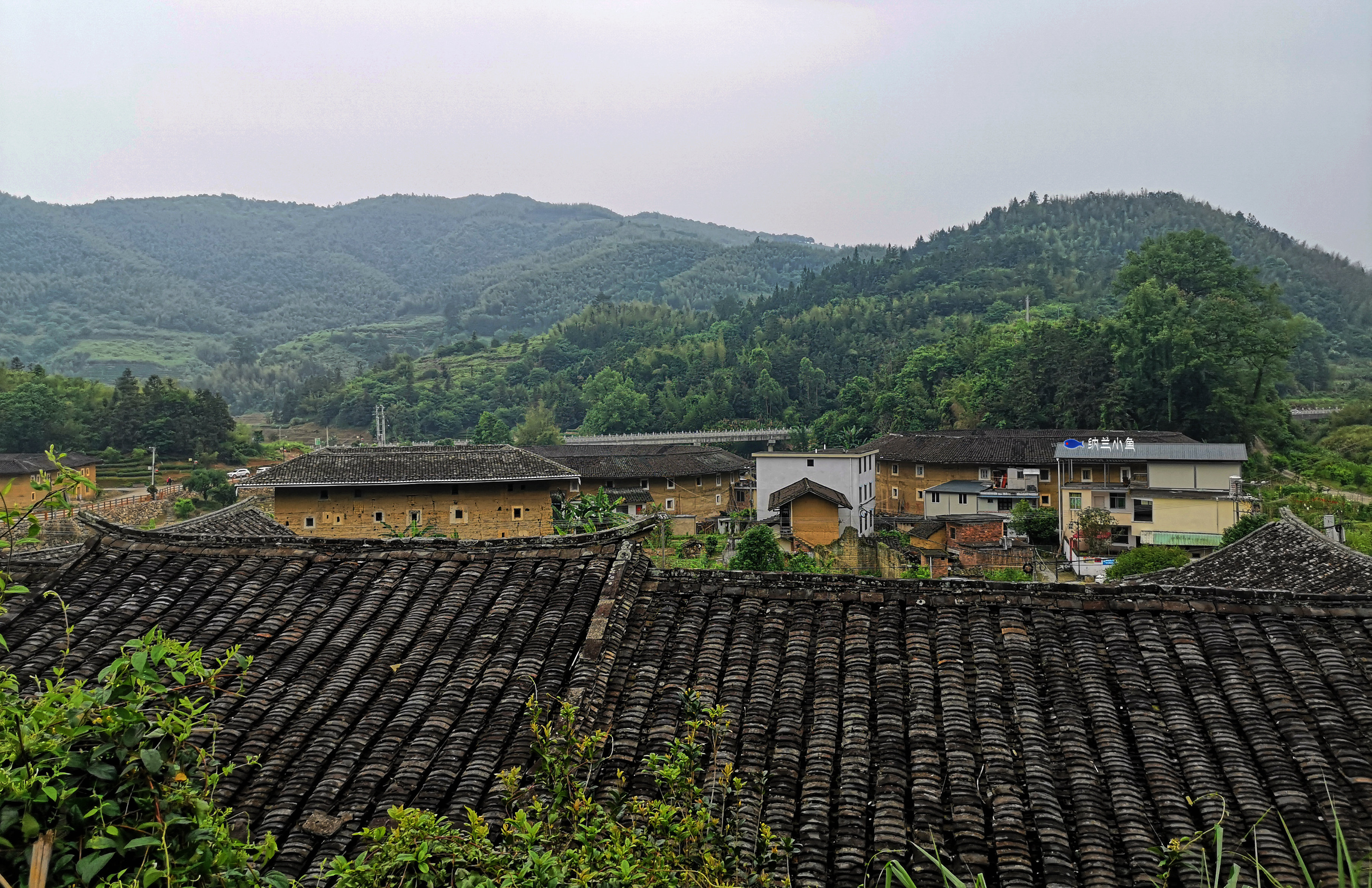 福建金山镇图片