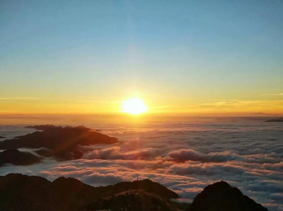 打卡阳江最美高山!这花海仙境,清溪河谷……我真的不能自拔