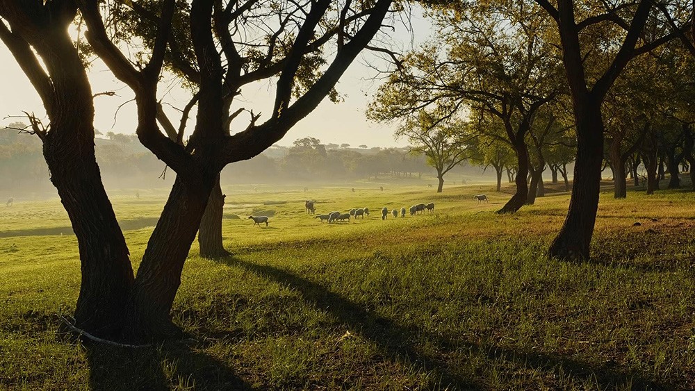 纪录片万物滋养第二季5月8日首播解锁消夏避暑新姿势