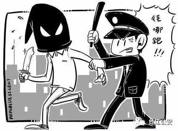 台江县公安局快速破获两起抢夺案