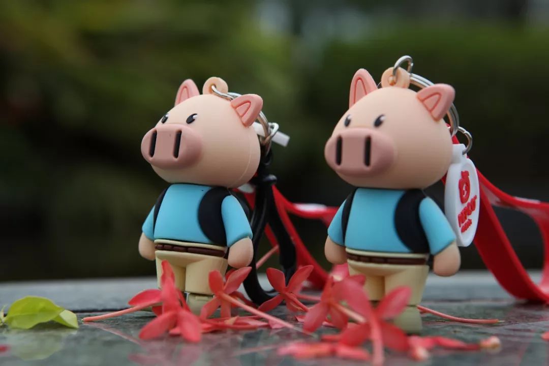 东城61海雅【小猪班纳】形象升级,买新品的最佳时机