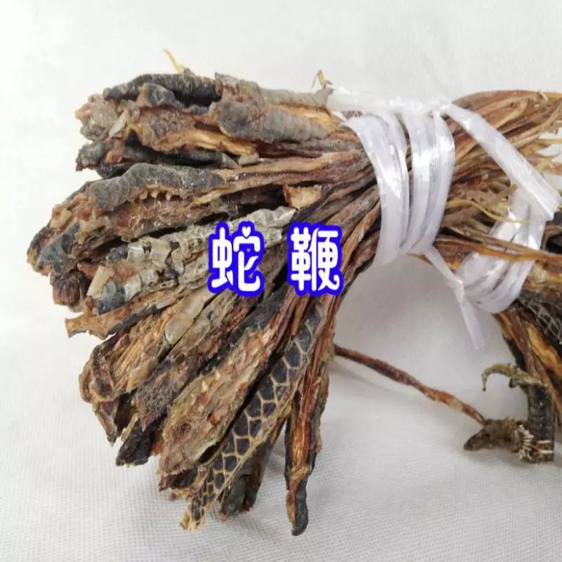 由于唐代士大夫喜欢喝乌蛇酒,认为乌蛇酒有去除死肉,杀死寄生虫等功效