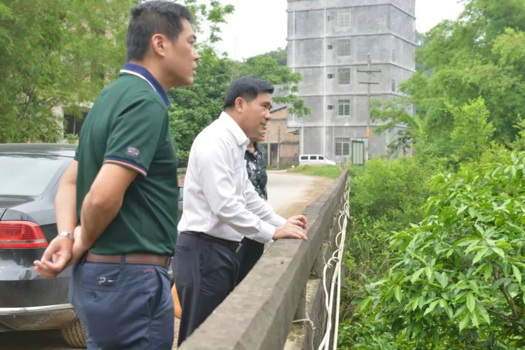 博白总河长到浪平,博白两镇调研饮用水水源地保护情况