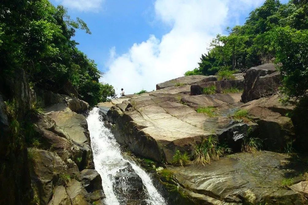 打卡阳江最美高山!这花海仙境,清溪河谷……我真的不能自拔