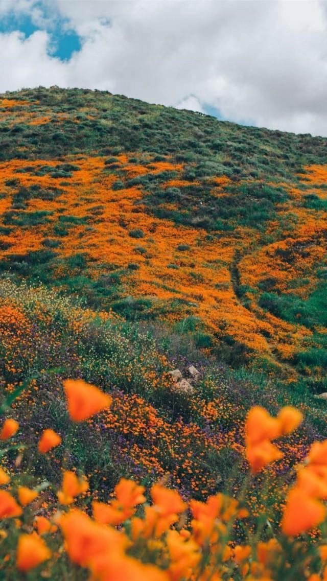 640_1137竖版 竖屏