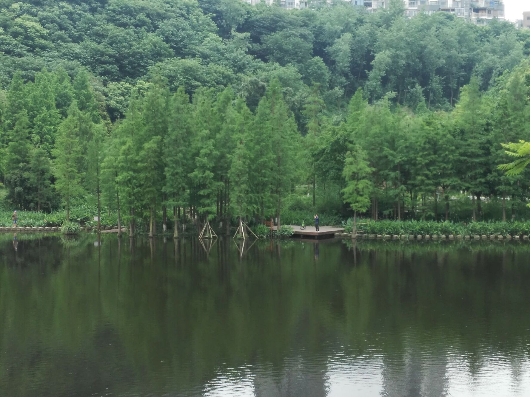 重慶國家溼地公園彩雲湖負氧離子很高要不要來一次洗肺之旅