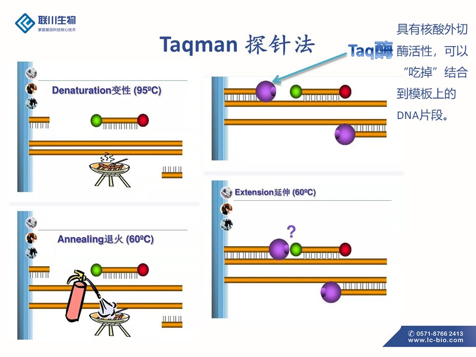 qpcr原理及应用技术专题
