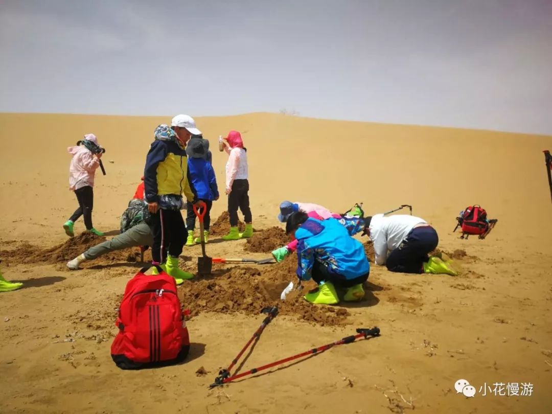 小花手记如果一生必定要去一次沙漠我希望是徒步丈量