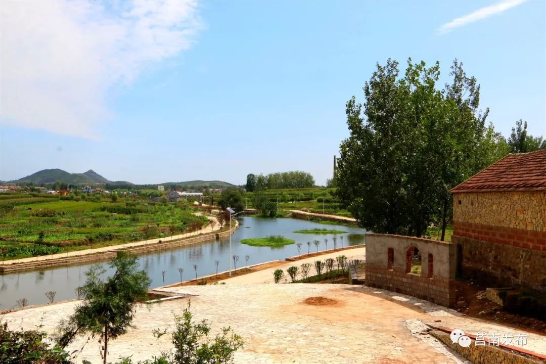 聚焦莒南让更多人才投身乡村振兴