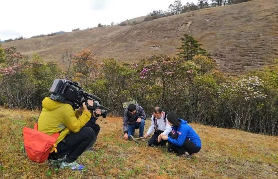 大姚要上央视了!带你走进《远方的家》
