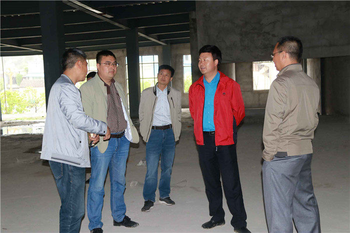 蒋海航到上司,下司调研项目建设