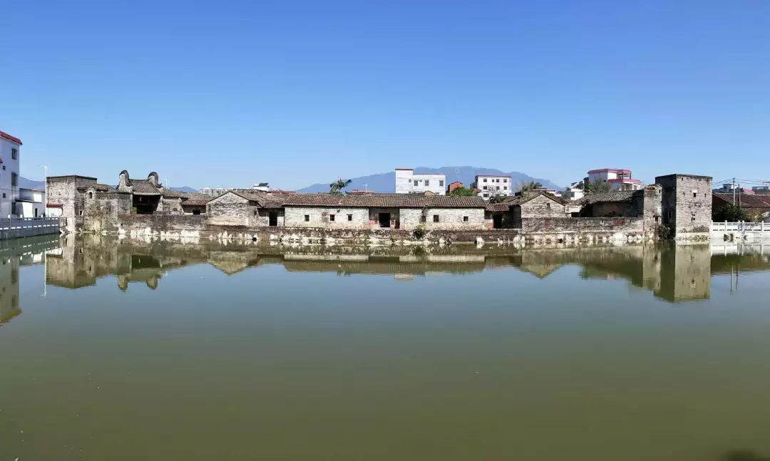 【全域人居环境整治】福田镇荔枝墩村:以人居环境整治为抓手 建设宜居