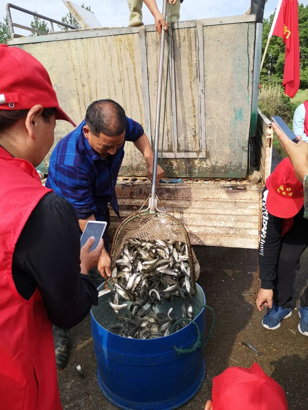 海口動態以魚淨水水清魚歡海口鎮開展增殖放流活動