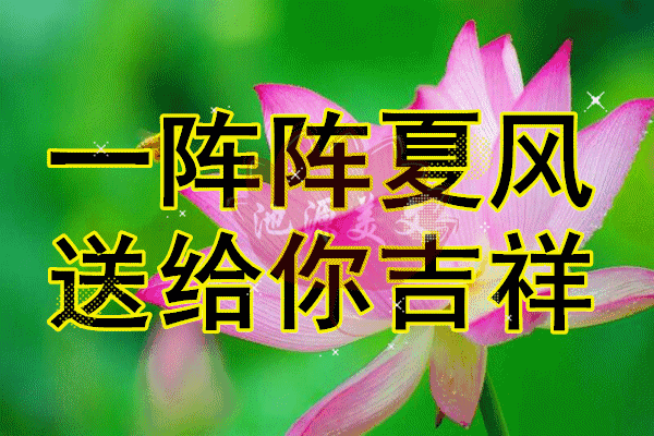 今日立夏太美太漂亮了送给群里的每一位朋友