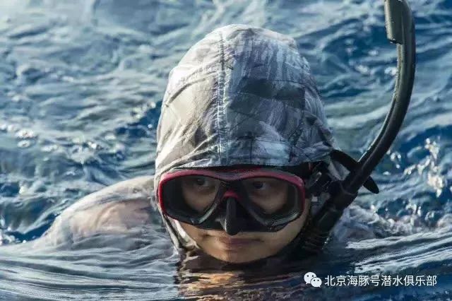 马良 教练北京海豚号潜水俱乐部创始人之一padi 名仕潜水员训练官