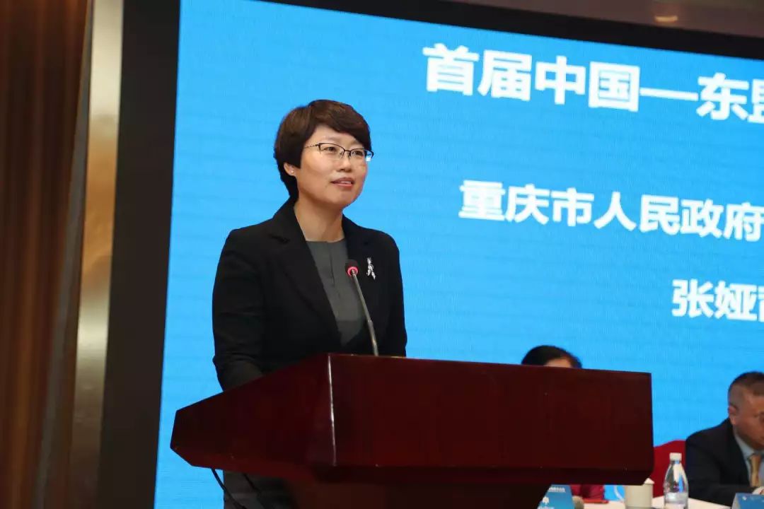 重庆市人民政府外事办公室副主任张娅茜,重庆社