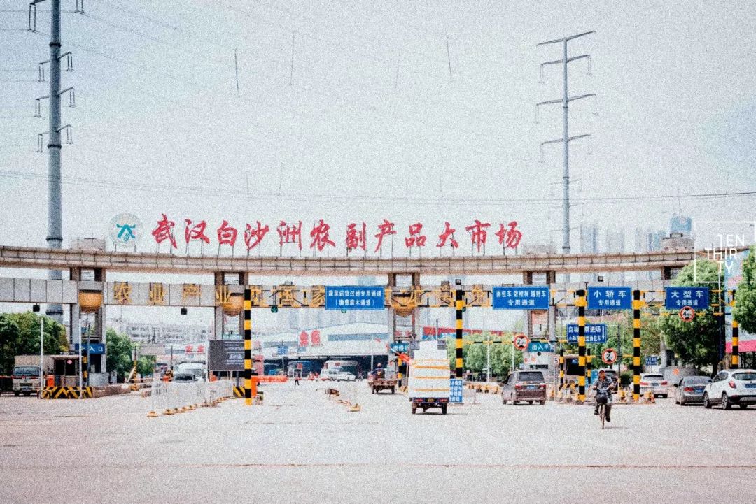 白沙洲武汉三环内的孤儿