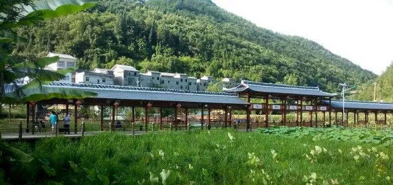 重庆巫溪县古路镇观峰村自然风景优好,森林覆盖率达75%,是休闲娱乐的
