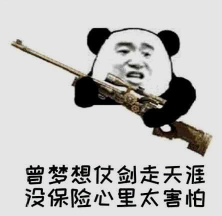 与保险有关的表情包:那个,有没有那种保险