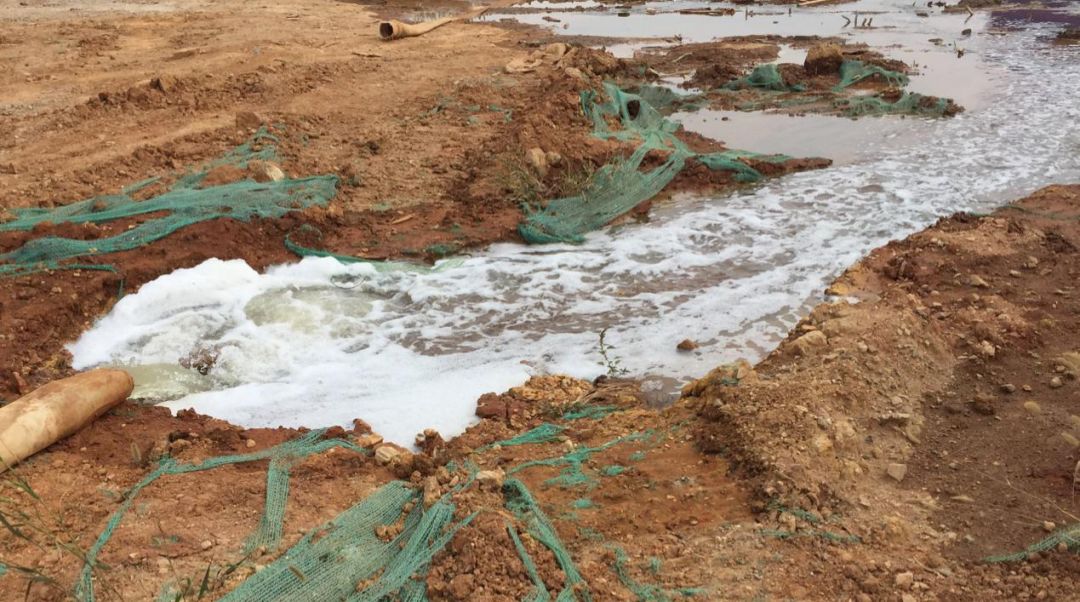 典型案例武汉市南湖污水直排环境污染问题严重